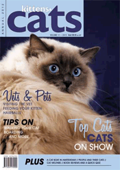 Kittens & Cats Magazine